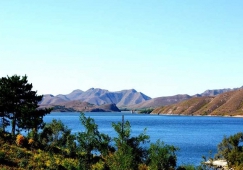 佛山到葫蘆島物流公司|佛山到葫蘆島物流專線|佛山到葫蘆島貨運公司