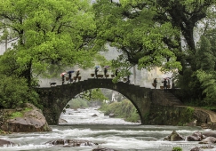 河源到衢州物流公司|河源到衢州貨運(yùn)專線